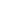 Leo Ideas Logo